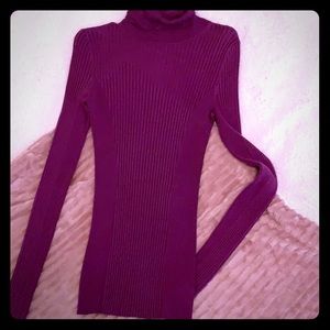 Express Purple Ribbed Turtleneck